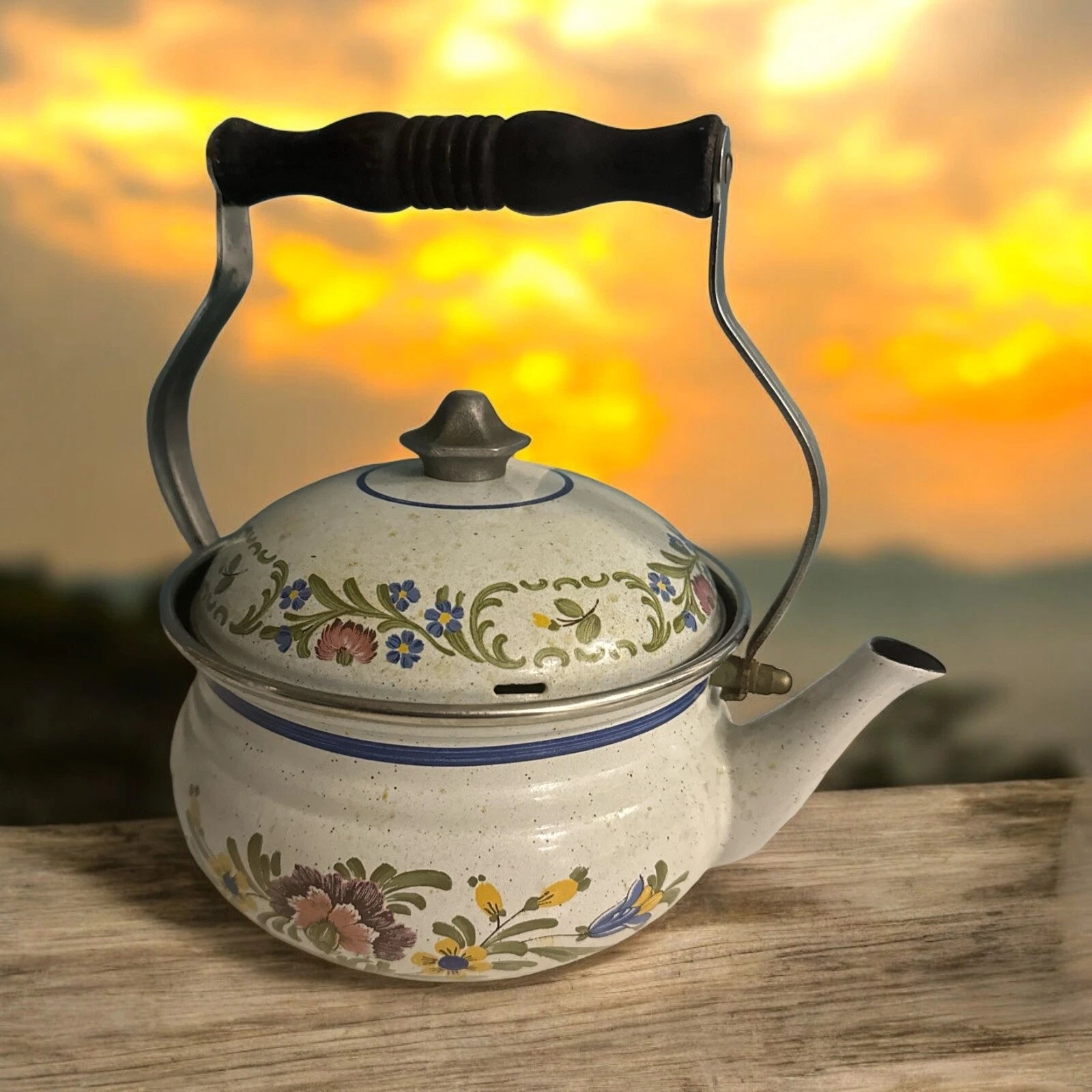 VTG ASTA Tea Kettle Tea Pot Enamel Ware Floral Pattern 9.5" Made in Germany | eBay