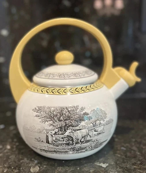 Vintage Villeroy & Boch Metal Enamel Tea Kettle 6Cup Farm Design RARE usedno box